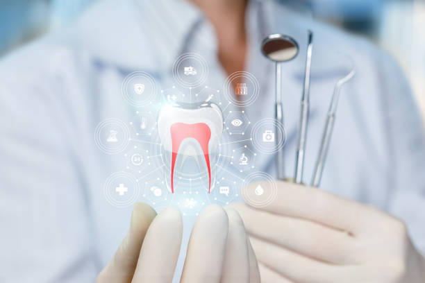 Best Invisalign and Clear Aligners  in Home, WA